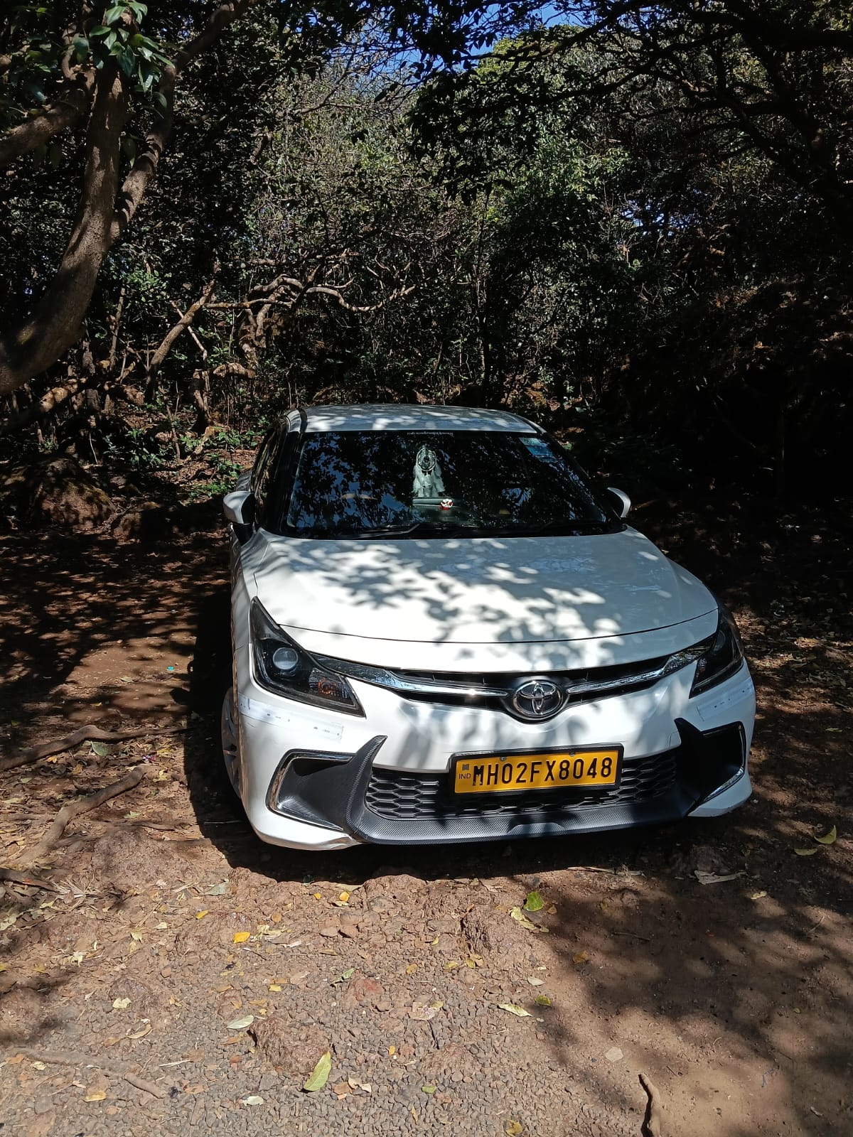 Local taxi service in Mahabaleshwar with experienced driver